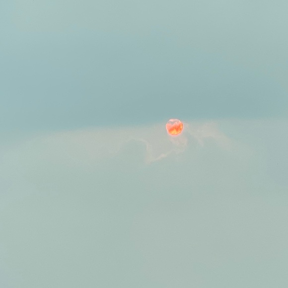 Meet your Posher, Kasia - Picture 1 of 1